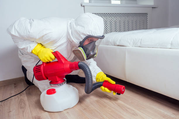 Best Insect Control  in Roseto, PA